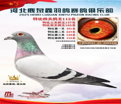 �ر��Ĺظ���112��