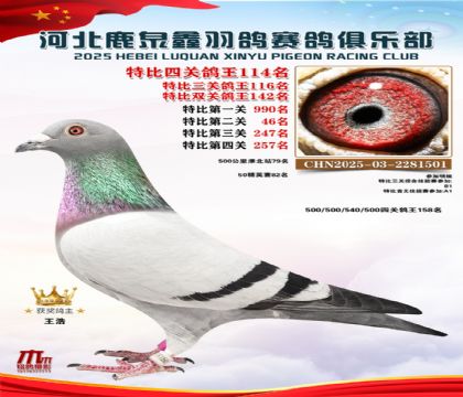 �ر��Ĺظ���114��