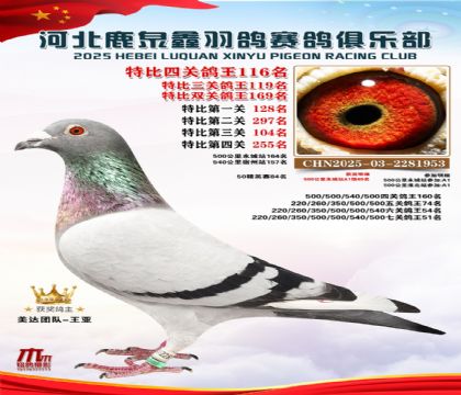 �ر��Ĺظ���116��