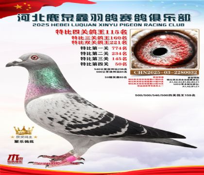 �ر��Ĺظ���115��