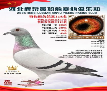 �ر��Ĺظ���118��