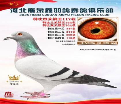 �ر��Ĺظ���117��