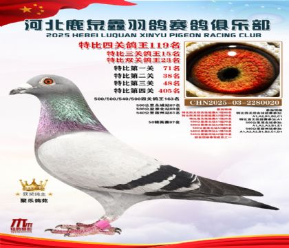 �ر��Ĺظ���119��