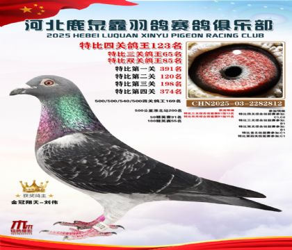 �ر��Ĺظ���123��