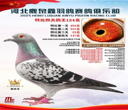 �ر��Ĺظ���124��