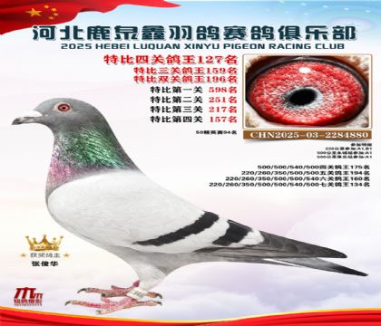 �ر��Ĺظ���127��