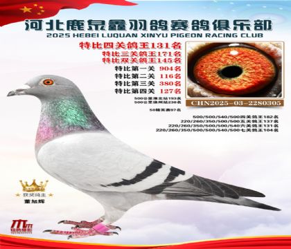 �ر��Ĺظ���131��