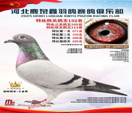 �ر��Ĺظ���132��