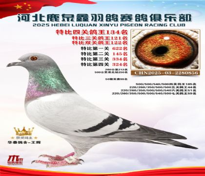 �ر��Ĺظ���134��