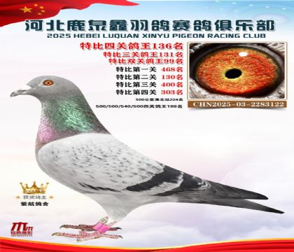 �ر��Ĺظ���136��