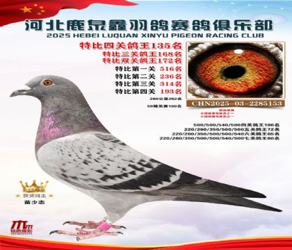 �ر��Ĺظ���135��