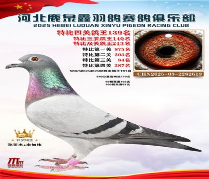 �ر��Ĺظ���139��