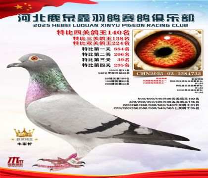 �ر��Ĺظ���140��