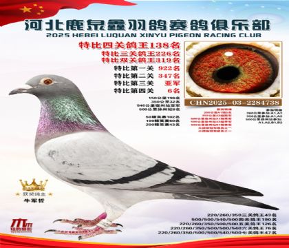 �ر��Ĺظ���138��