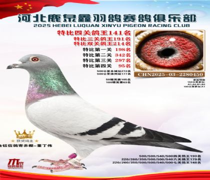 �ر��Ĺظ���141��