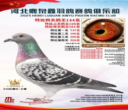 �ر��Ĺظ���144��