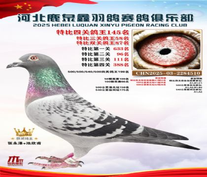 �ر��Ĺظ���145��