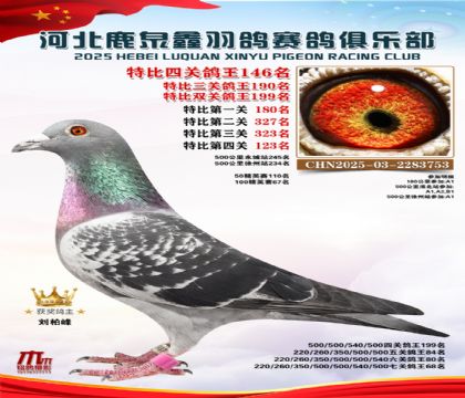 �ر��Ĺظ���146��