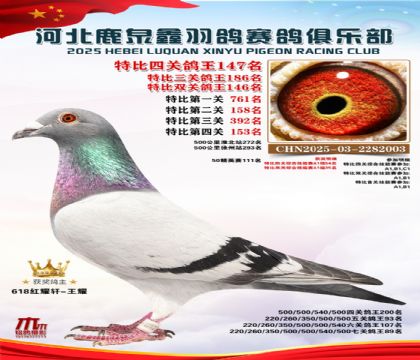 �ر��Ĺظ���147��