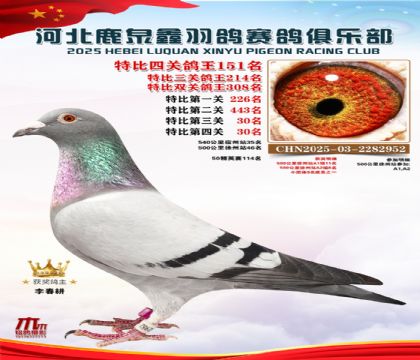 �ر��Ĺظ���151��