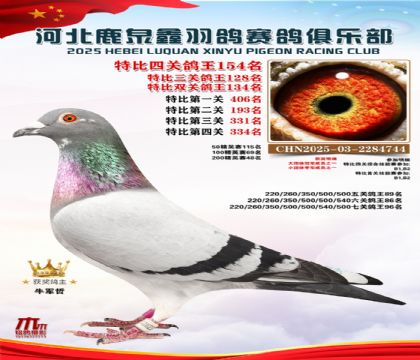 �ر��Ĺظ���154��