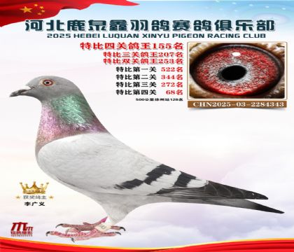 �ر��Ĺظ���155��