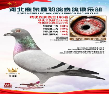 �ر��Ĺظ���160��