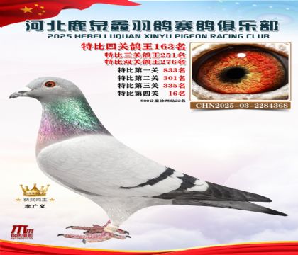 �ر��Ĺظ���163��