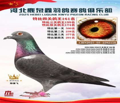 �ر��Ĺظ���161��