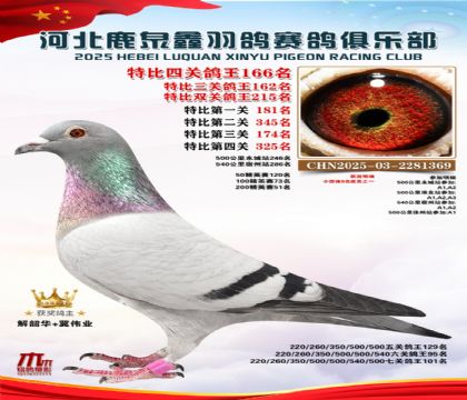 �ر��Ĺظ���166��