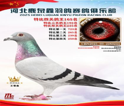 �ر��Ĺظ���165��