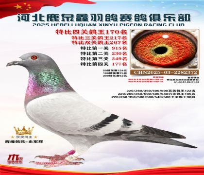 �ر��Ĺظ���170��