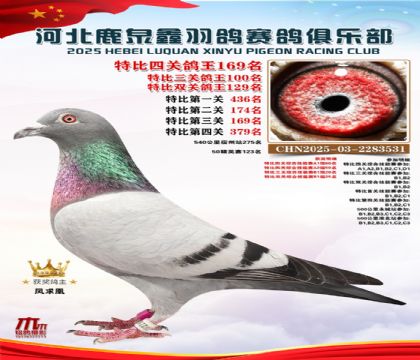 �ر��Ĺظ���169��