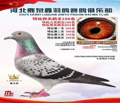 �ر��Ĺظ���168��