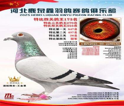 �ر��Ĺظ���173��