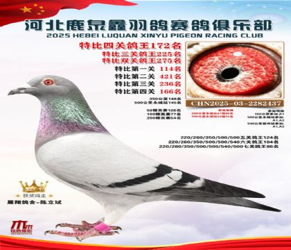 �ر��Ĺظ���172��