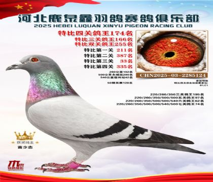 �ر��Ĺظ���174��