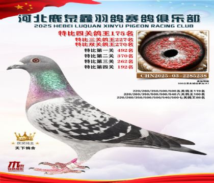 �ر��Ĺظ���175��