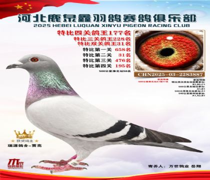 �ر��Ĺظ���177��