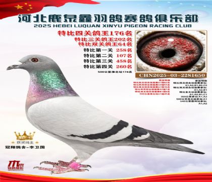 �ر��Ĺظ���176��