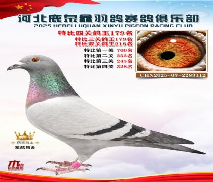 �ر��Ĺظ���179��