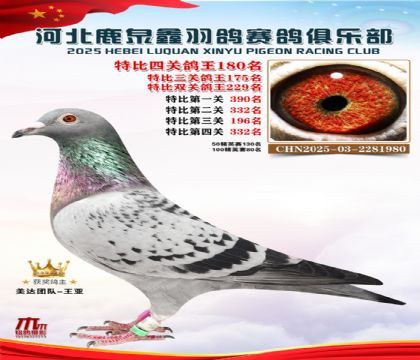 �ر��Ĺظ���180��