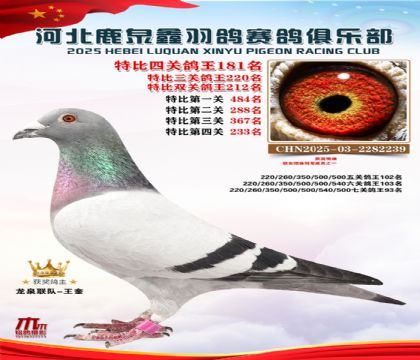 �ر��Ĺظ���181��