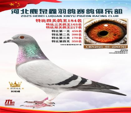 �ر��Ĺظ���184��