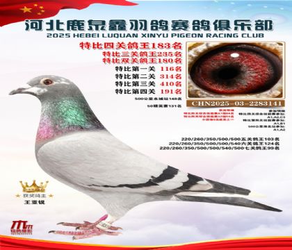 �ر��Ĺظ���183��