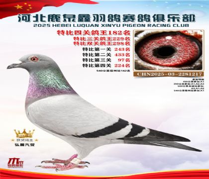 �ر��Ĺظ���182��