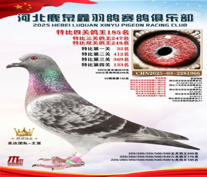 �ر��Ĺظ���185��