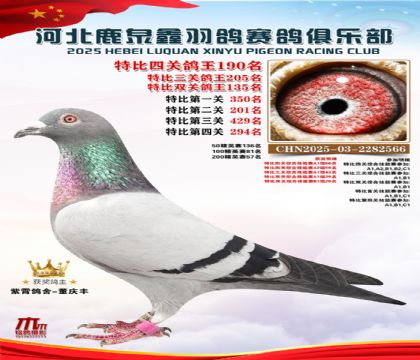 �ر��Ĺظ���190��