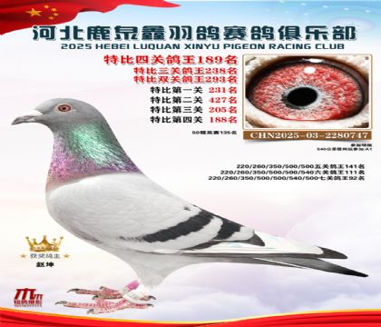 �ر��Ĺظ���189��