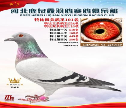 �ر��Ĺظ���191��